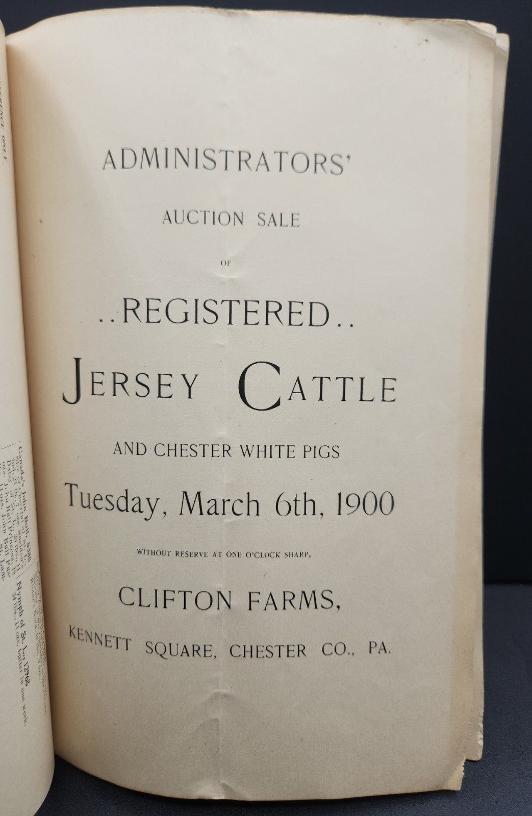 Clifton Farms Auction Catalogue Jersey Cattle & Chester Pigs Chester PA c.1900