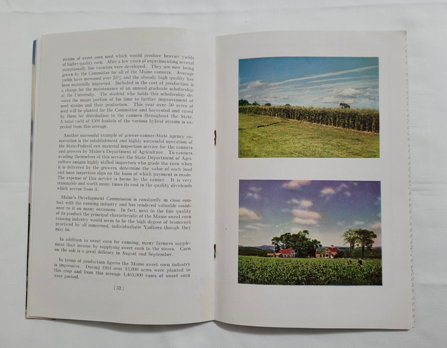 Vintage Maine Agriculture Booklet Cattle Corn Fruit Chickens Farming Ephemera