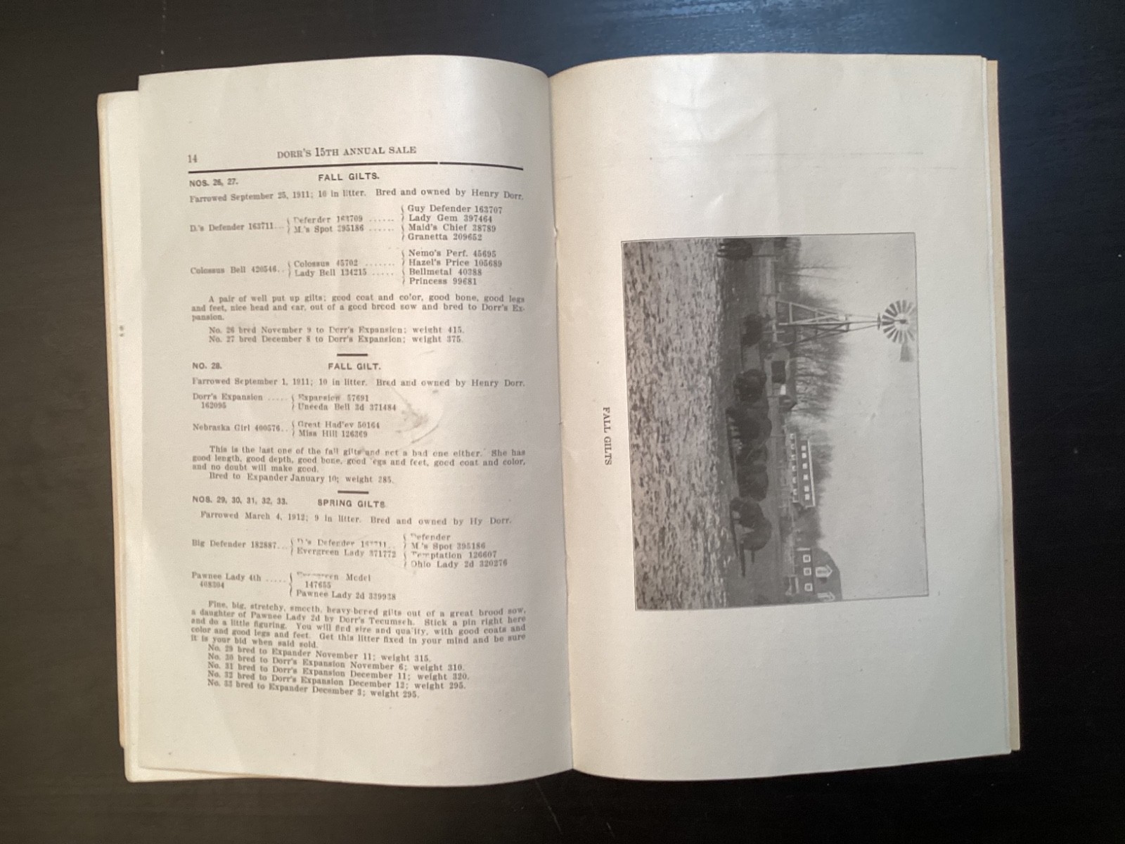 1913 Poland China Sows Sale Catalogue, Henry Dorr, Marcus IA