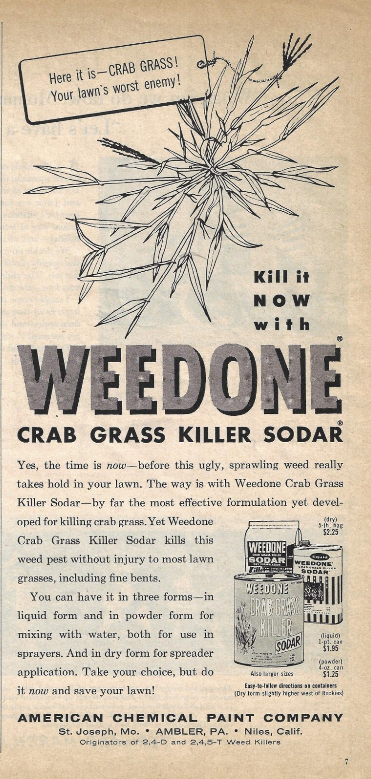 Weedone Weed Killer PRINT AD Kill it Now Crab Grass Killer Sodar 1958 Print Ad