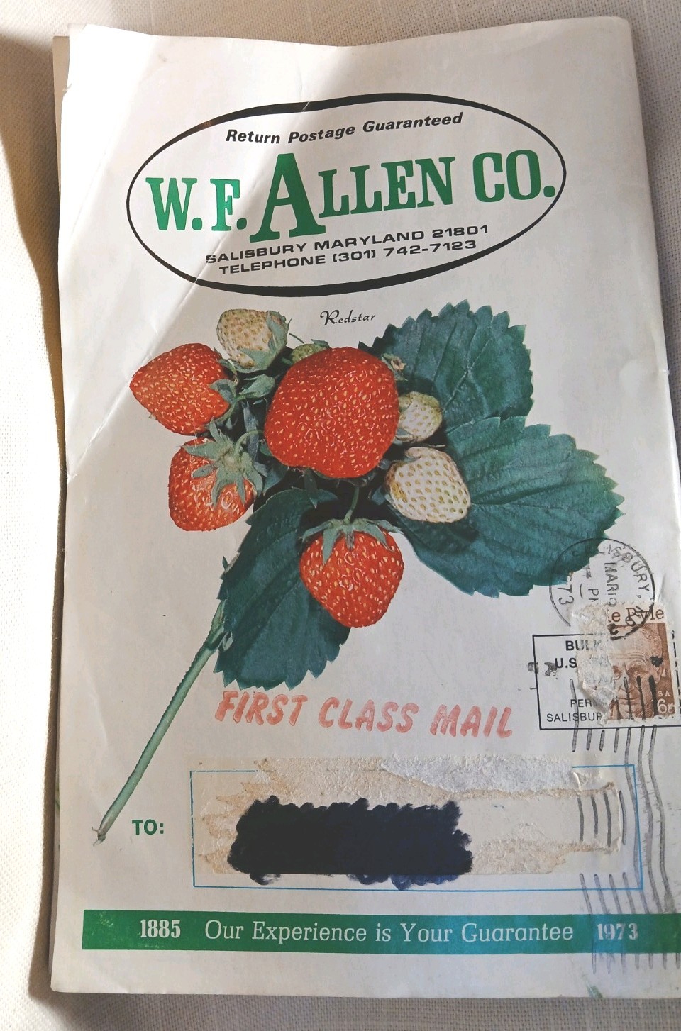 Rare Catalog Ephemera 1973 W.F. Allen Co. Book Of Berries. Anniversary Edition.