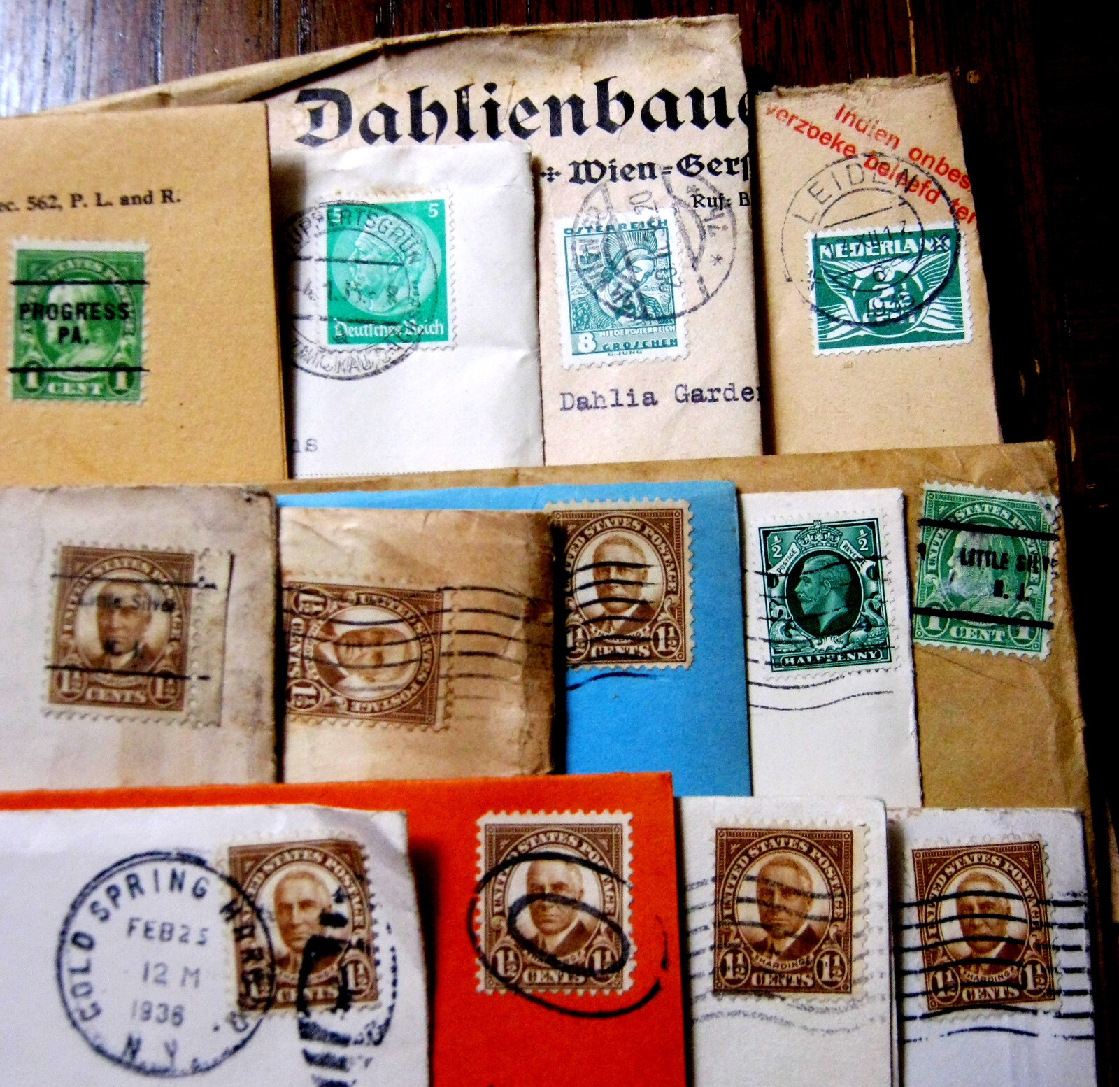 HUGE 1900-50&rsquo;s Collection DAHLIAS & Flower Clubs Seeds BOOKLETS Brochure Letters