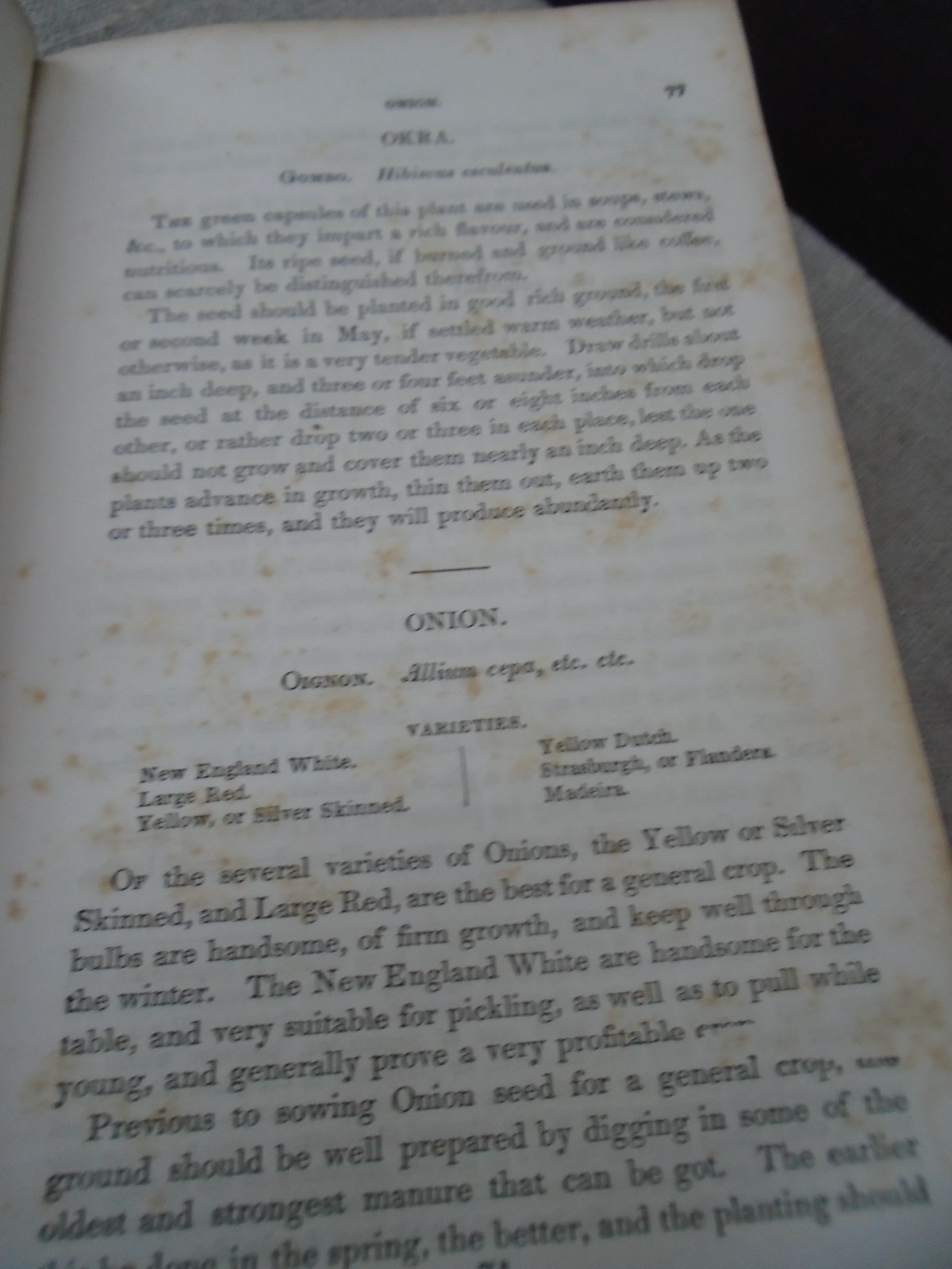 Rare 1857 Seed Catalogue Kitchen Gardner&rsquo;s Instructor Thomas Bridgeman New Ed