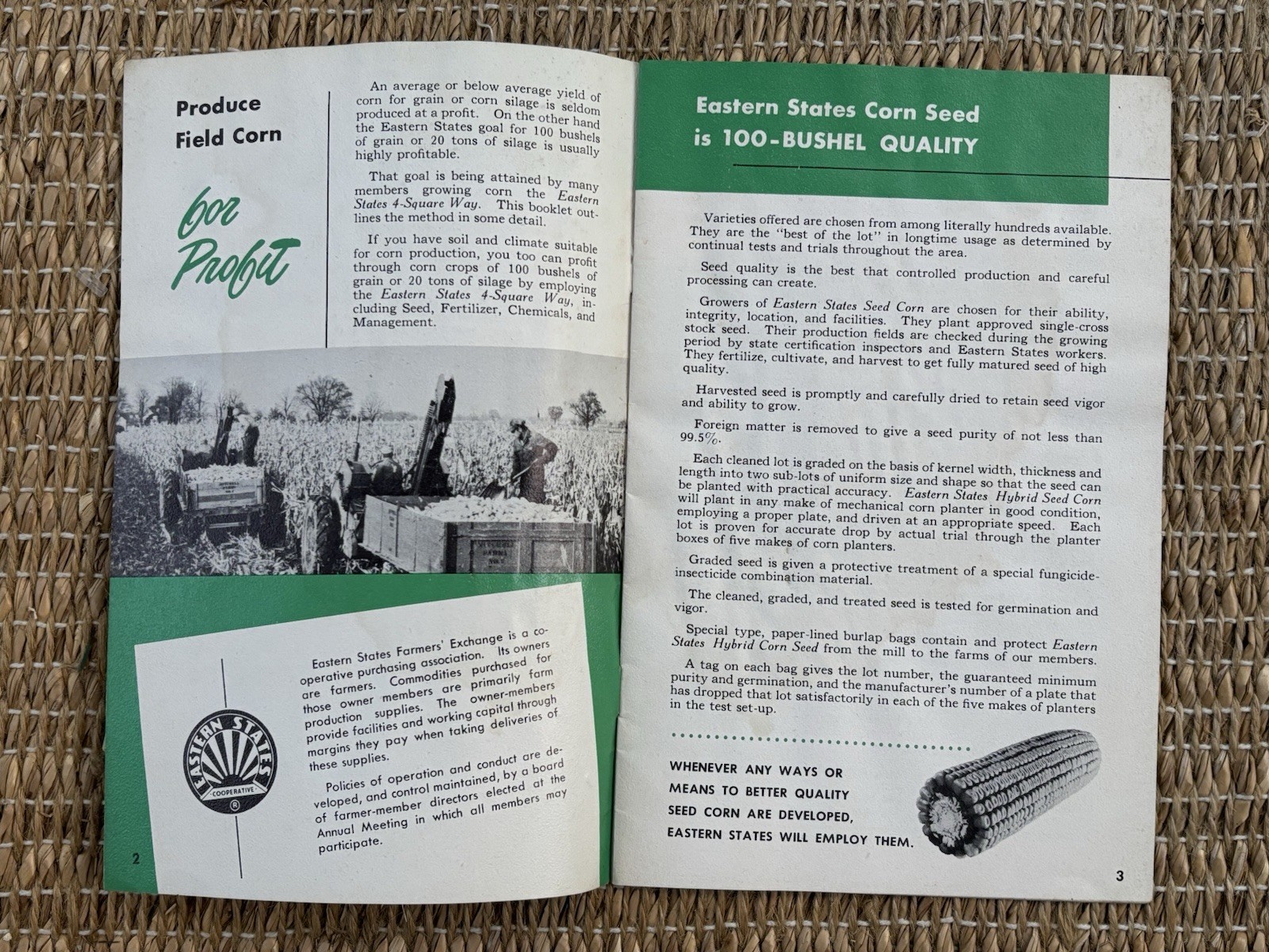Vintage 1956 Eastern States Cooperative Brochure Corn Crops Ephemera