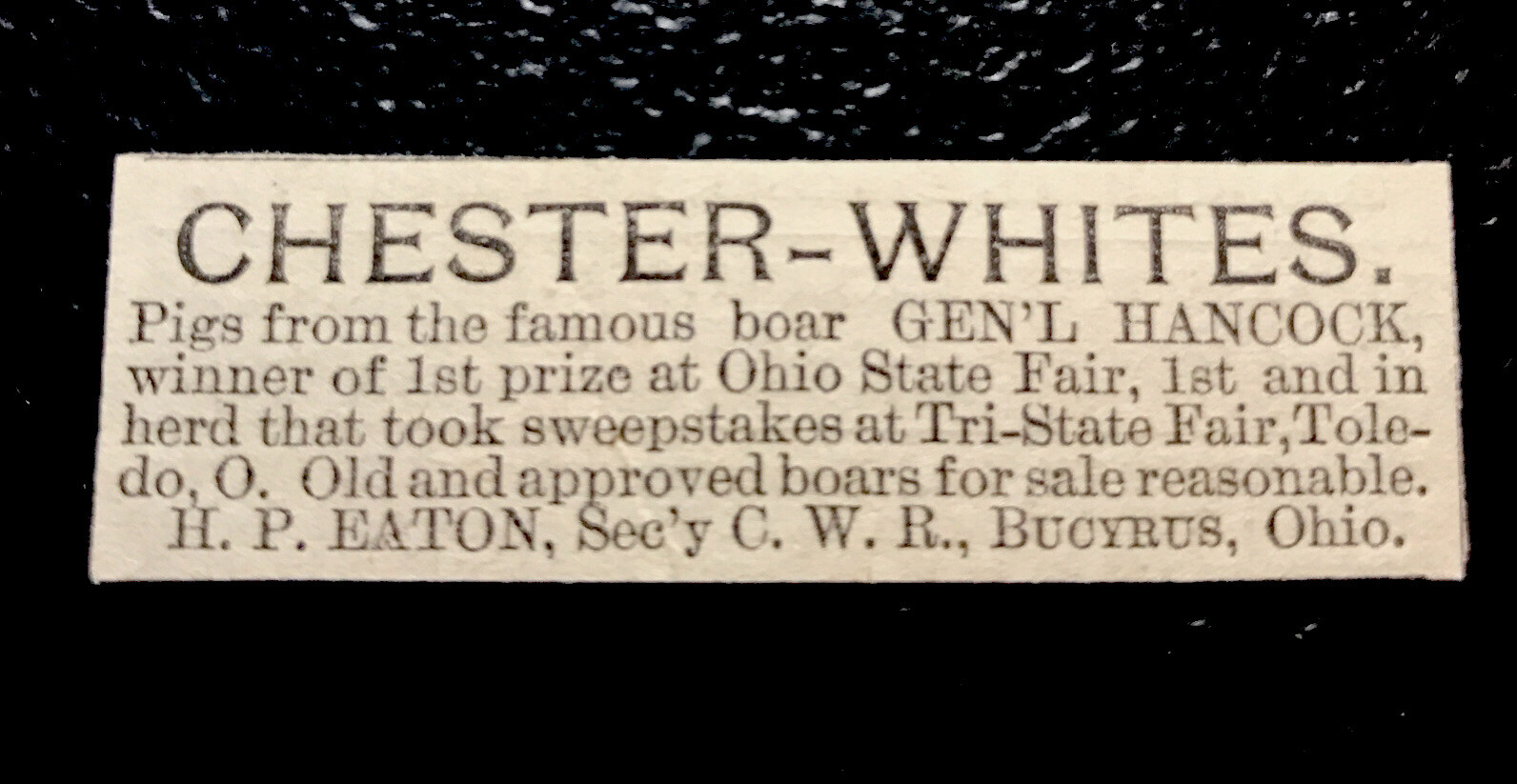 1886 H.P. Eaton Hog Pig Farm Advertising – Bucyrus – Ohio