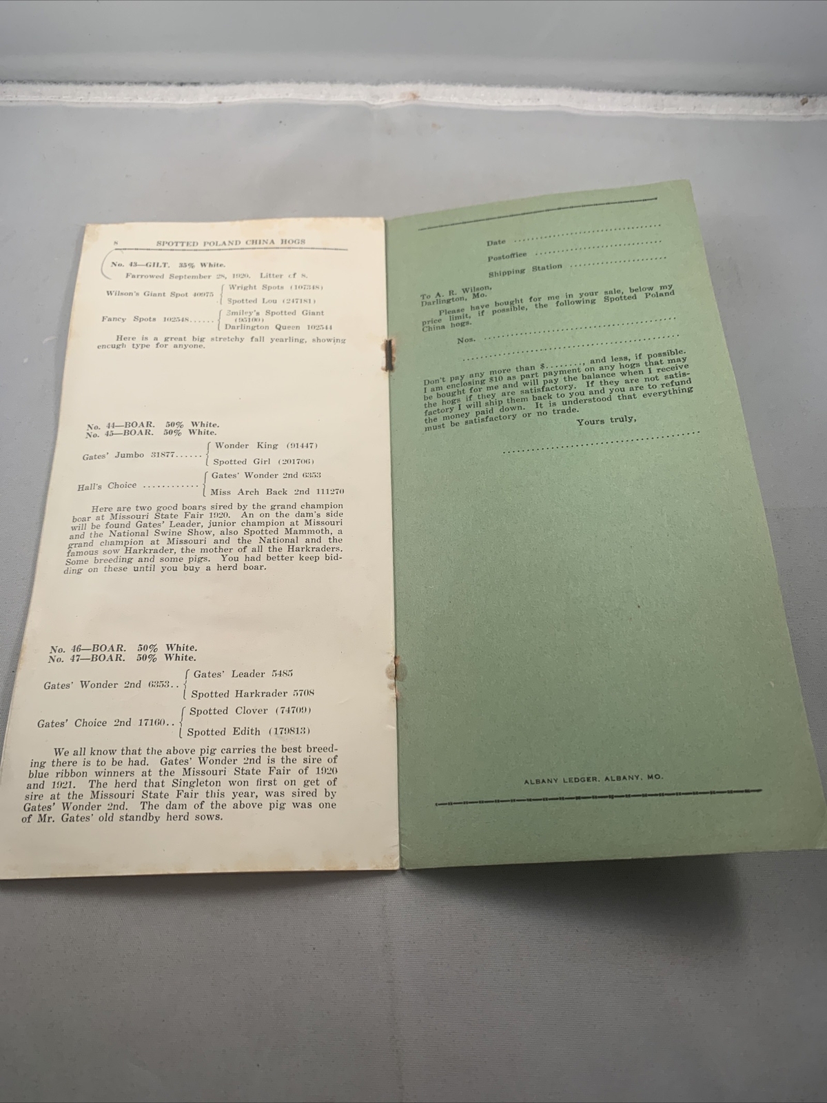 1921 Hog Sale Brochure Wilson’s Big Boned Prolific Spotted Poland China Pig