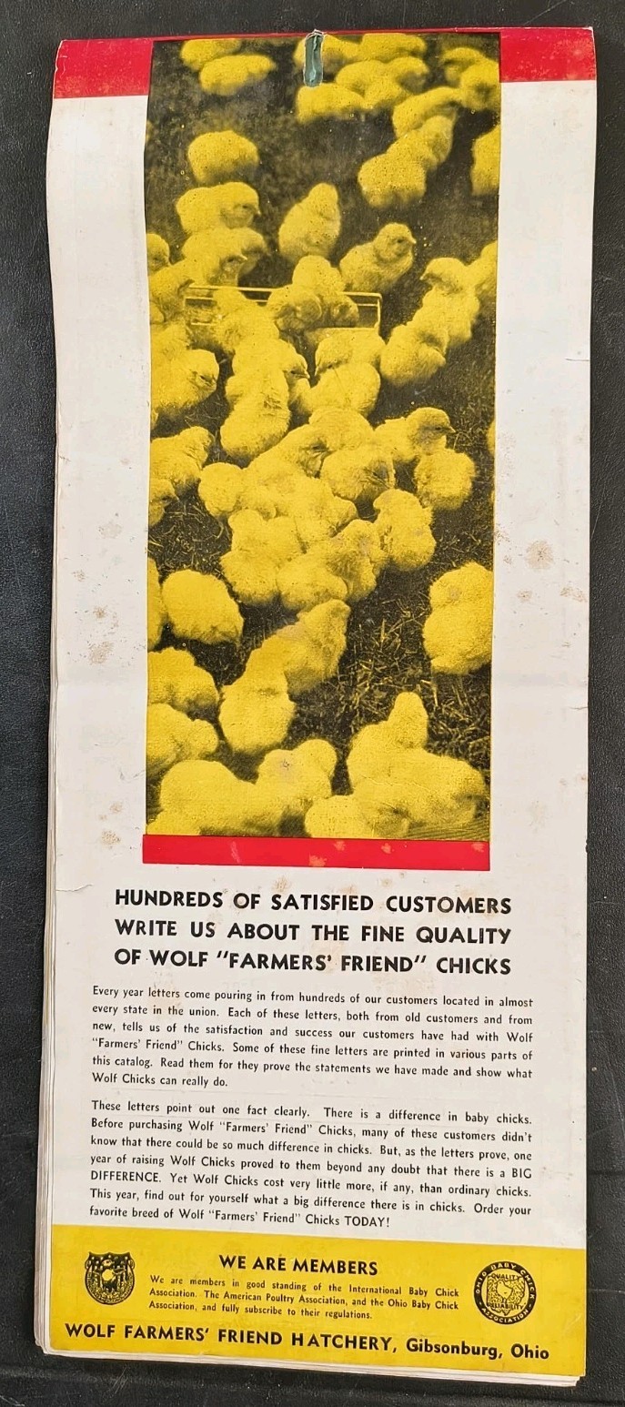 1941 Wolf Baby Chicks Catalog Calendar Sale Brochure Chicken Farming Advertising