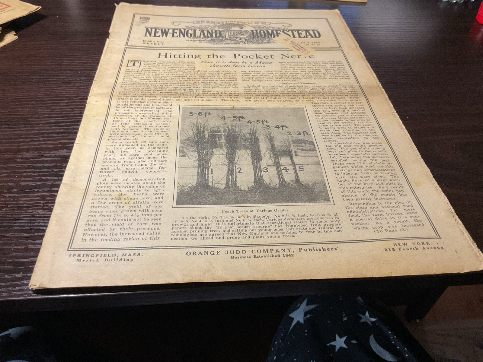 1919 New England Homestead Newspaper Farm Ads, Mass. Farms, Grow Peaches