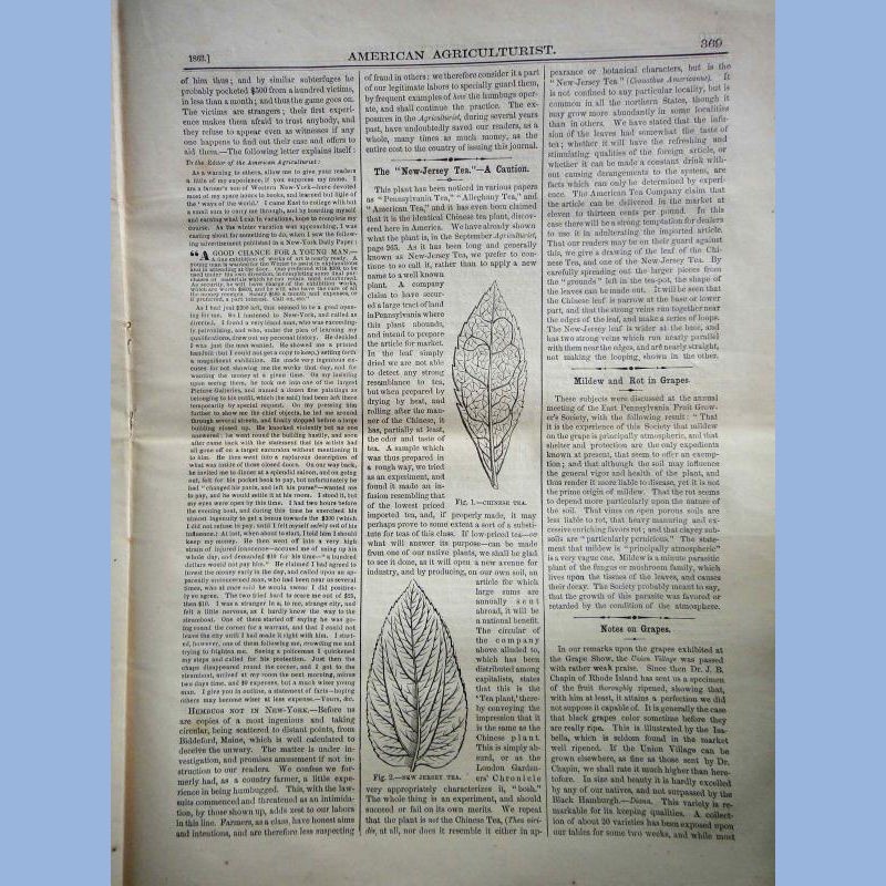 1863 DEC antique AMERICAN AGRICULTURIST farm garden household orange judd