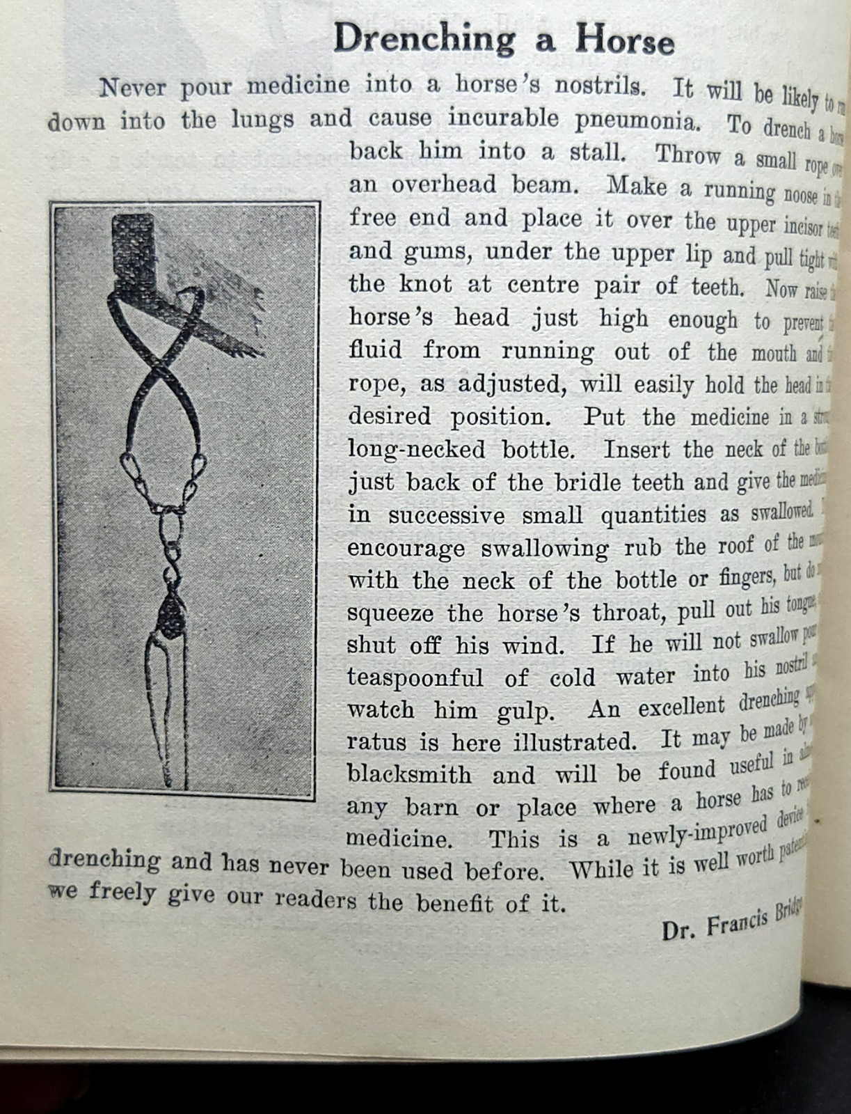Pratt&rsquo;s Agricultural Farm Animal Feed Book on Raising Horses Cows & Hogs c.1911