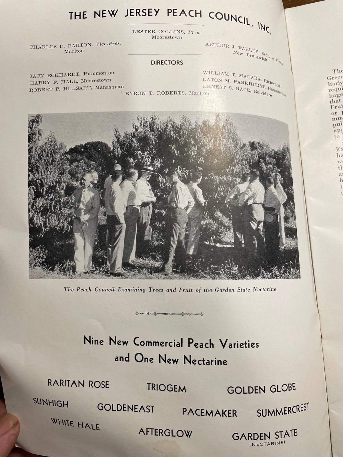 New Jersey Peach Council Farming Brochure 1939 1940 New Twentieth Century VTG
