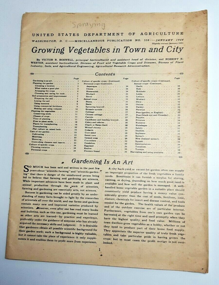 1945 USDA Dept. of Agriculture Growing Vegetables In Town and City