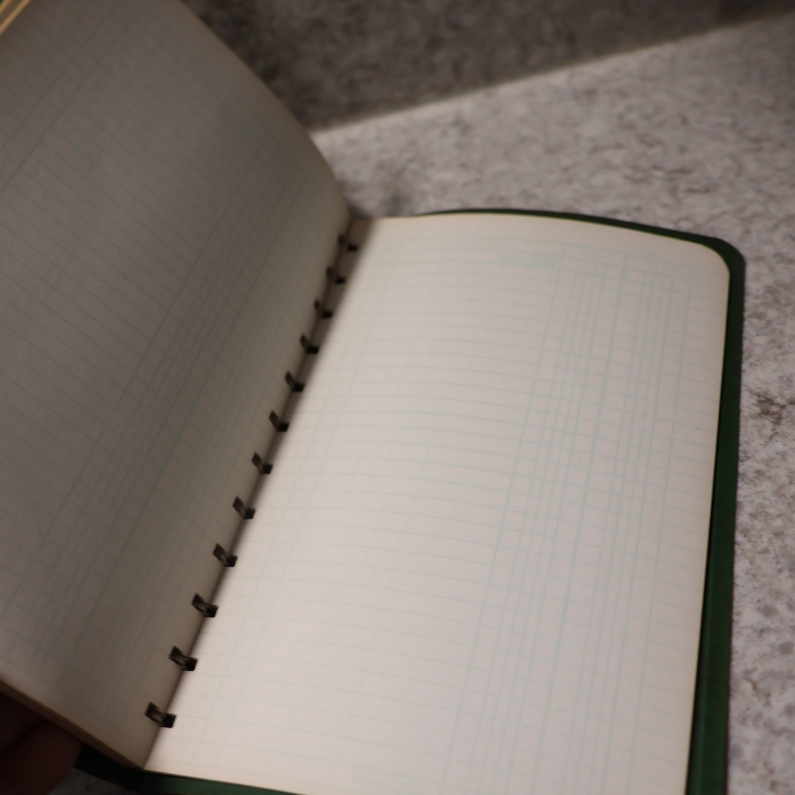 Vintage Bookkeeping And Income Tax Record – DAILY BUDGET or TAX RECORD