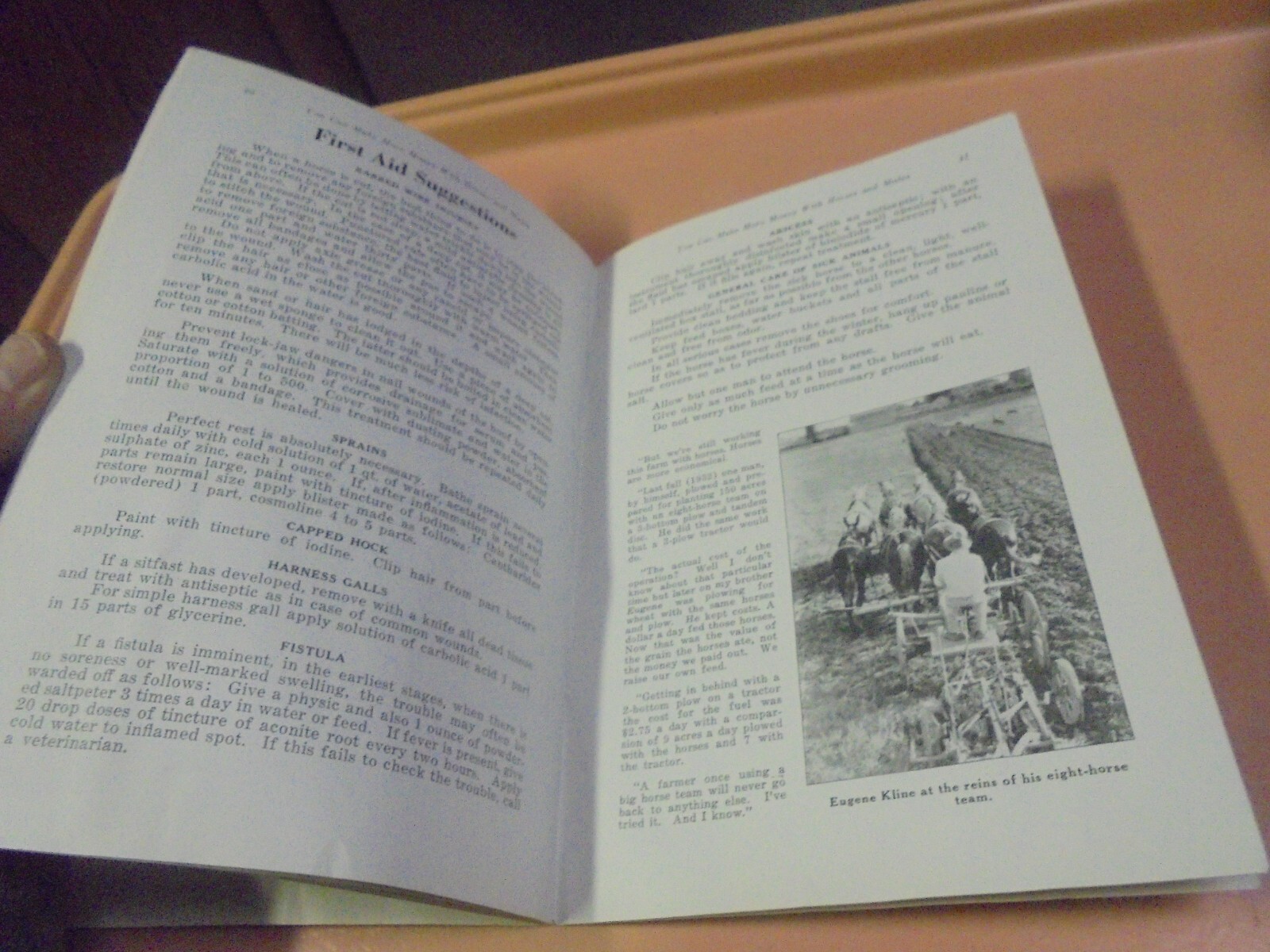 Vintage Booklet You can make more money with horse and mules The Jim Dandy Line