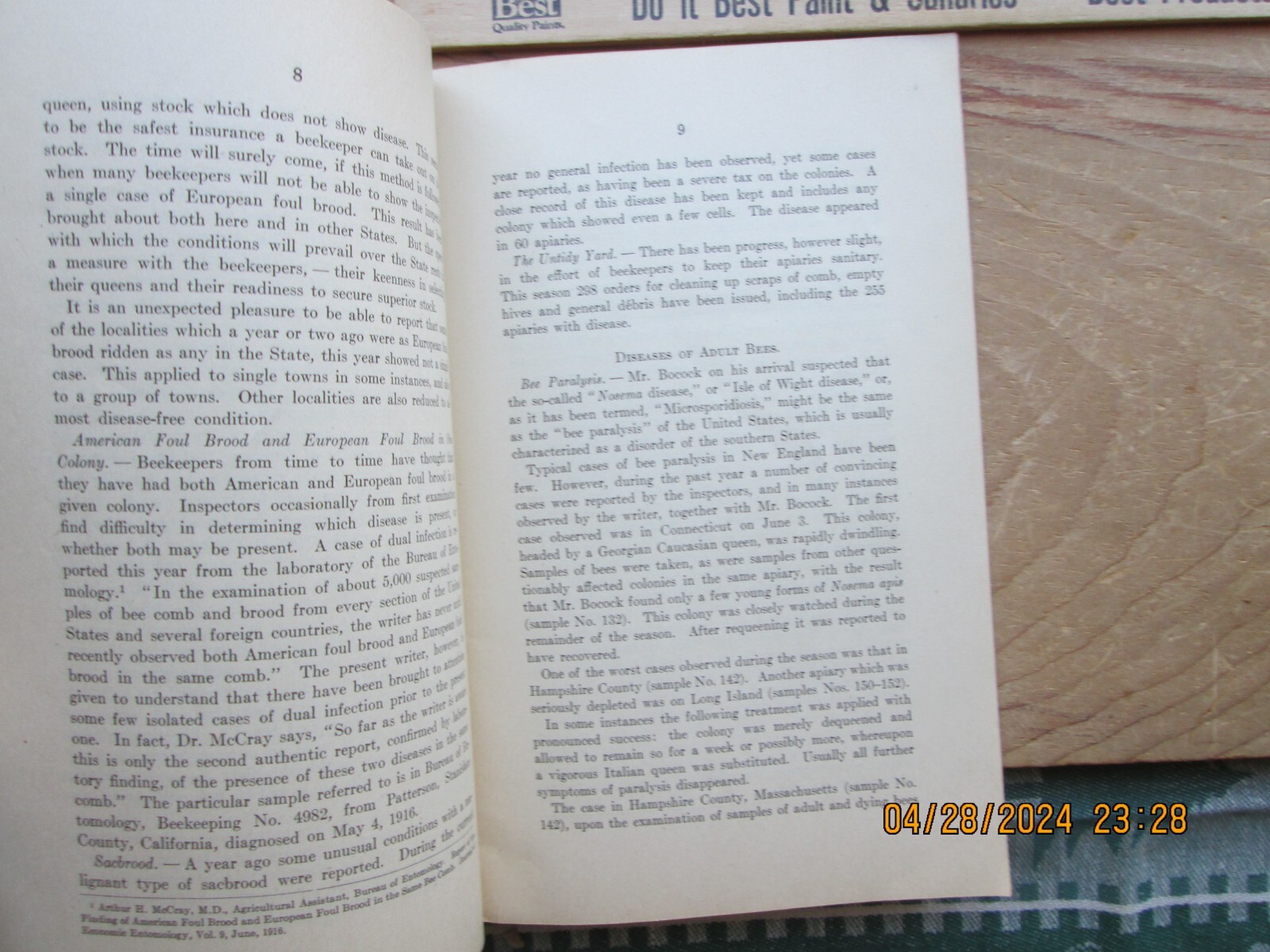 Annual report state inspector of apiaries for the year 1916 Massachusetts