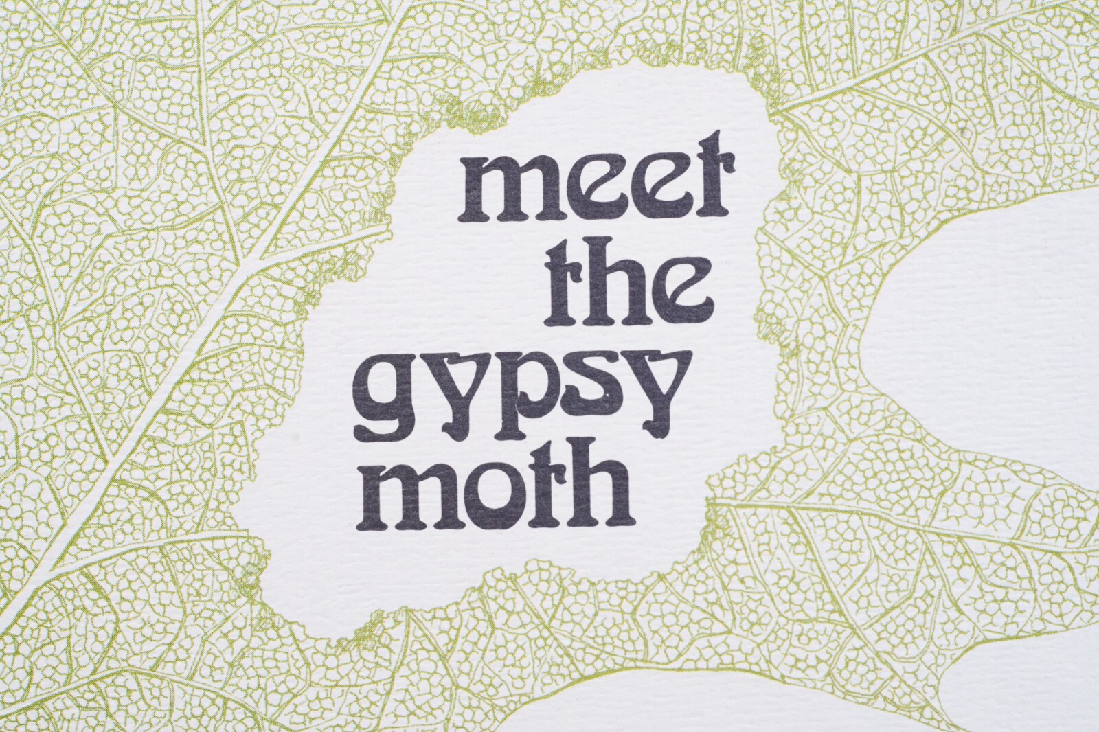 PA Vintage Agricultural Brochure Meet Gypsy Moth R.T. Zerillo and J.D. Podgwaite