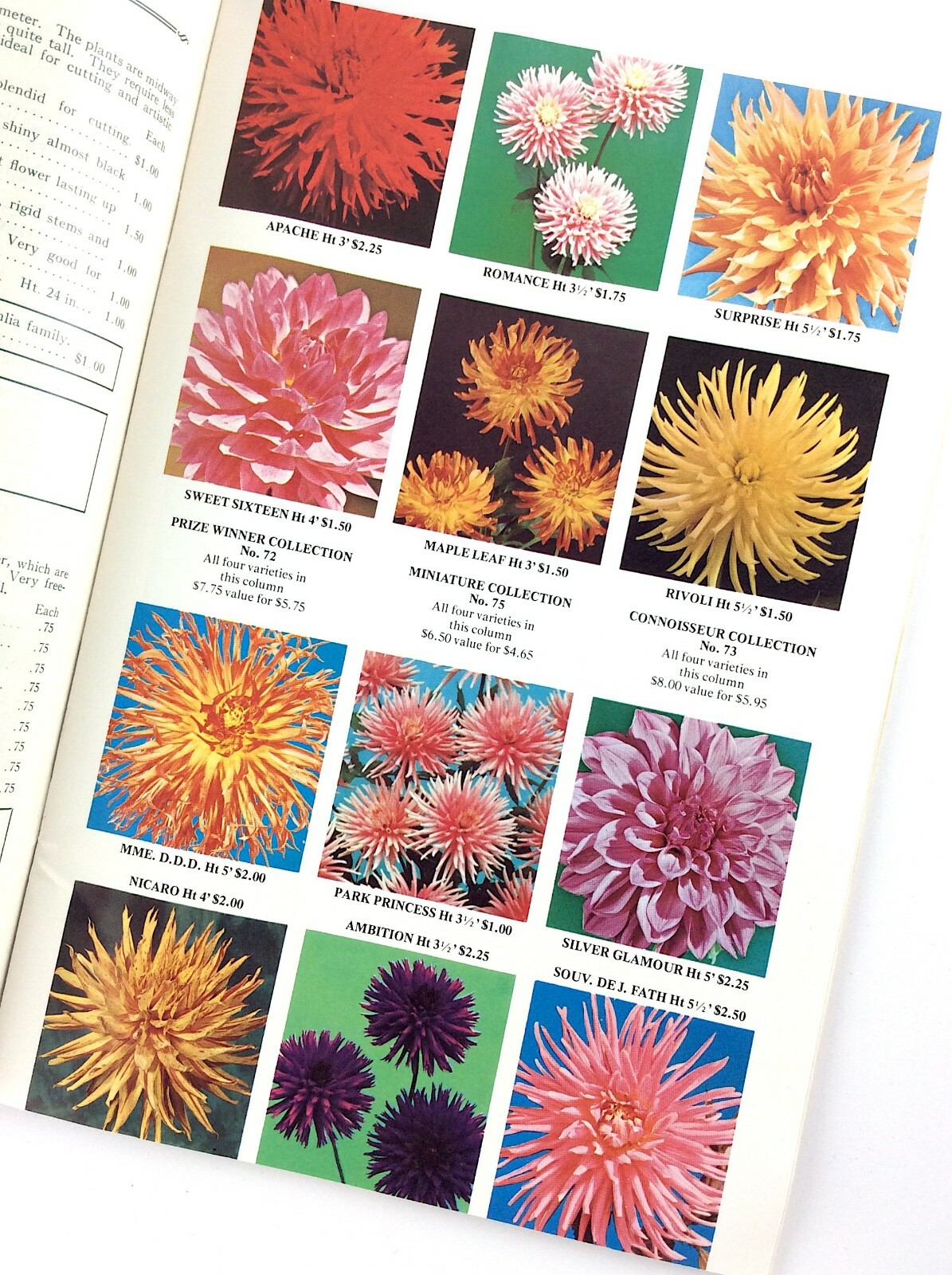 Spring 1975 CA Cruickshank Garden Guild Plant Guide Catalog Booklet L329