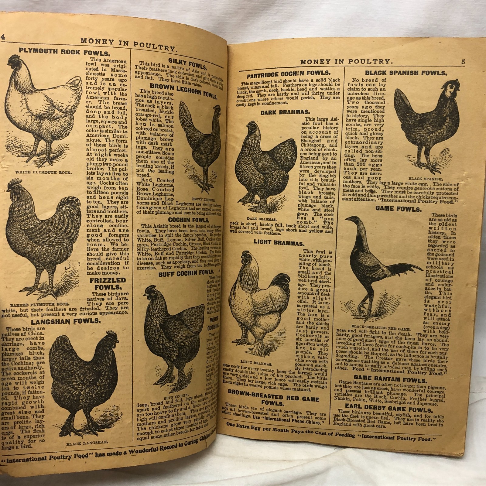 c1900s Money in Poultry Booklet International Poultry Food