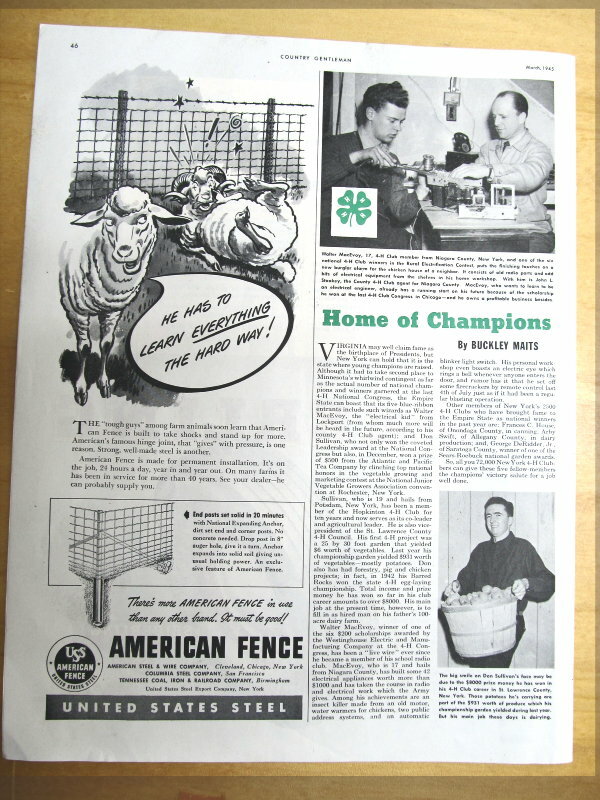 Original 1945 4-H Article Featuring Walter MacEvoy of Niagara County New York