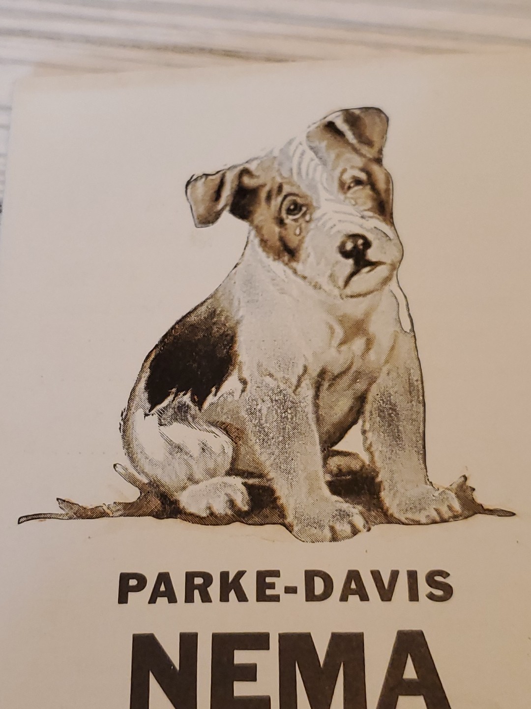 1927 NEMA Worm Capsules Prevention of Dog Diseases Parke Davis & Co. Brochure