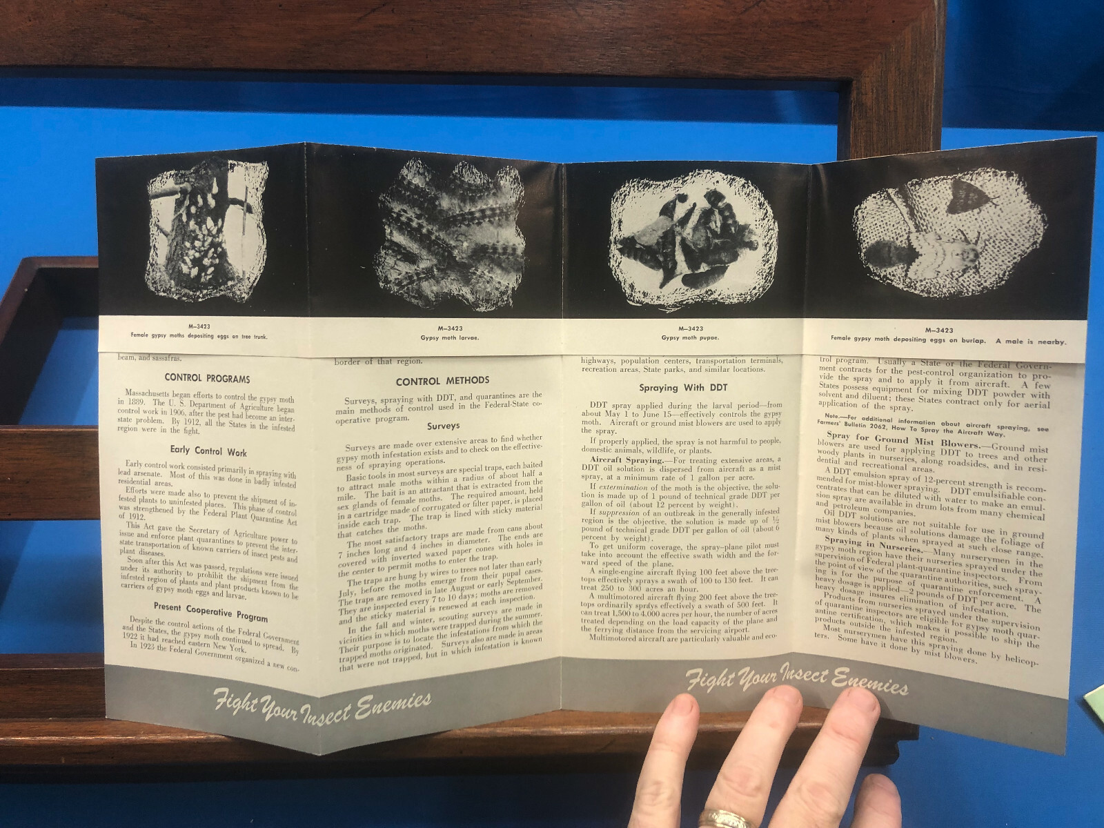 The Gypsy Moth: How We Fight It- U.S. Department of Agriculture, 1956