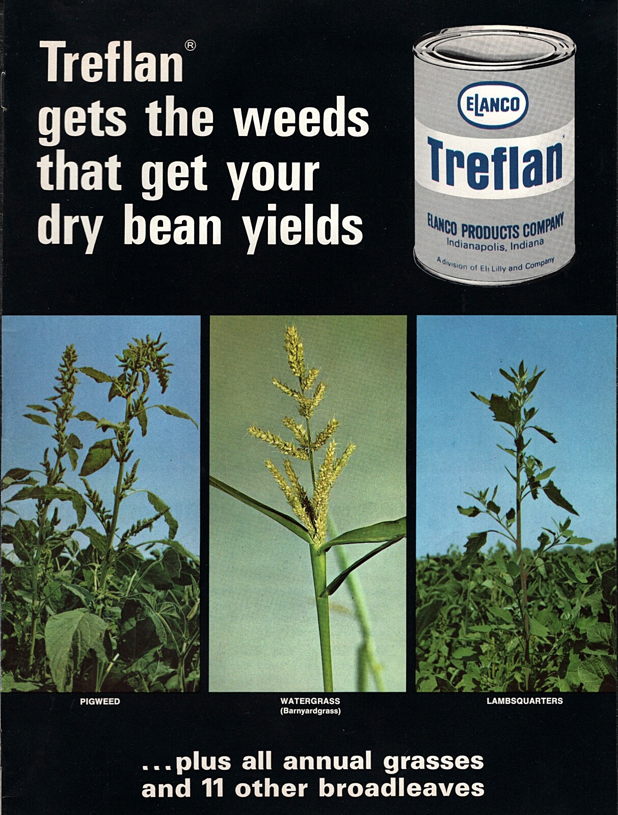 Lot of (2) 1960&rsquo;s Elanco Treflan Weed Killer Bean Fields Original Color Brochure