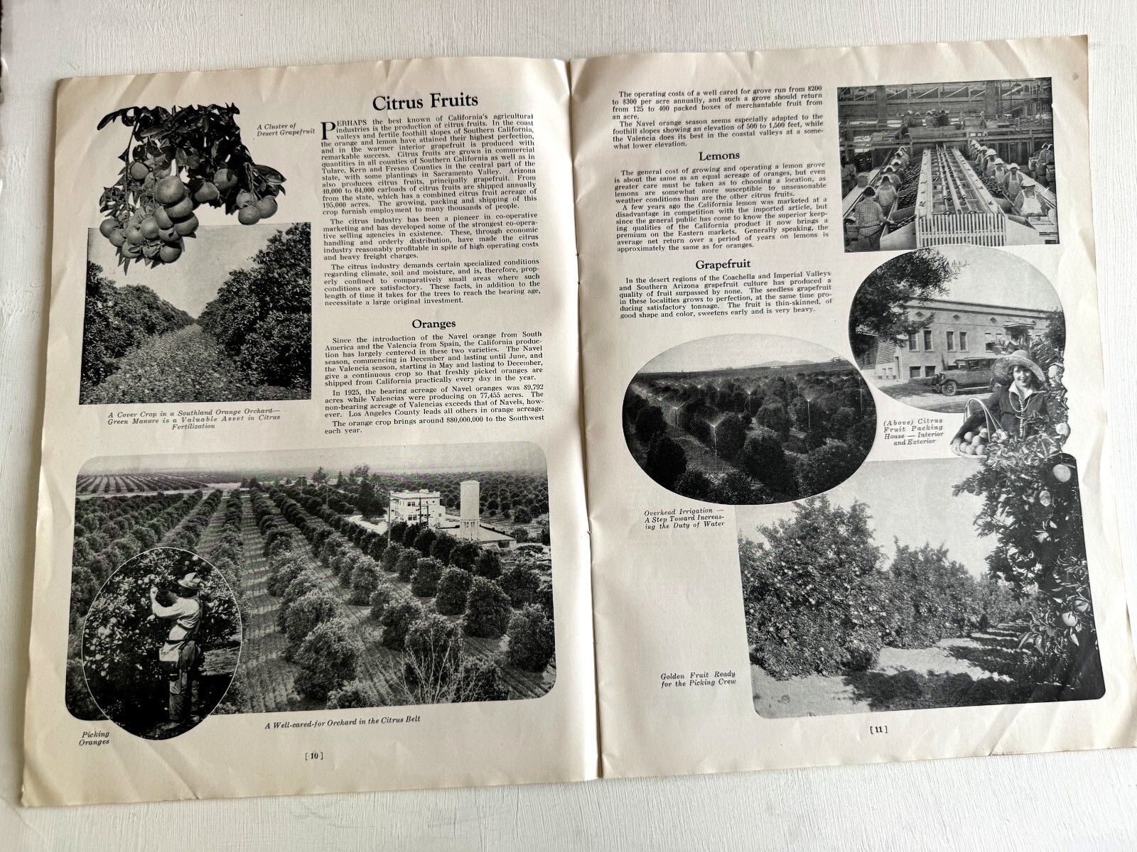 1927 Booklet- Los Angeles the Center of an Agricultural Empire
