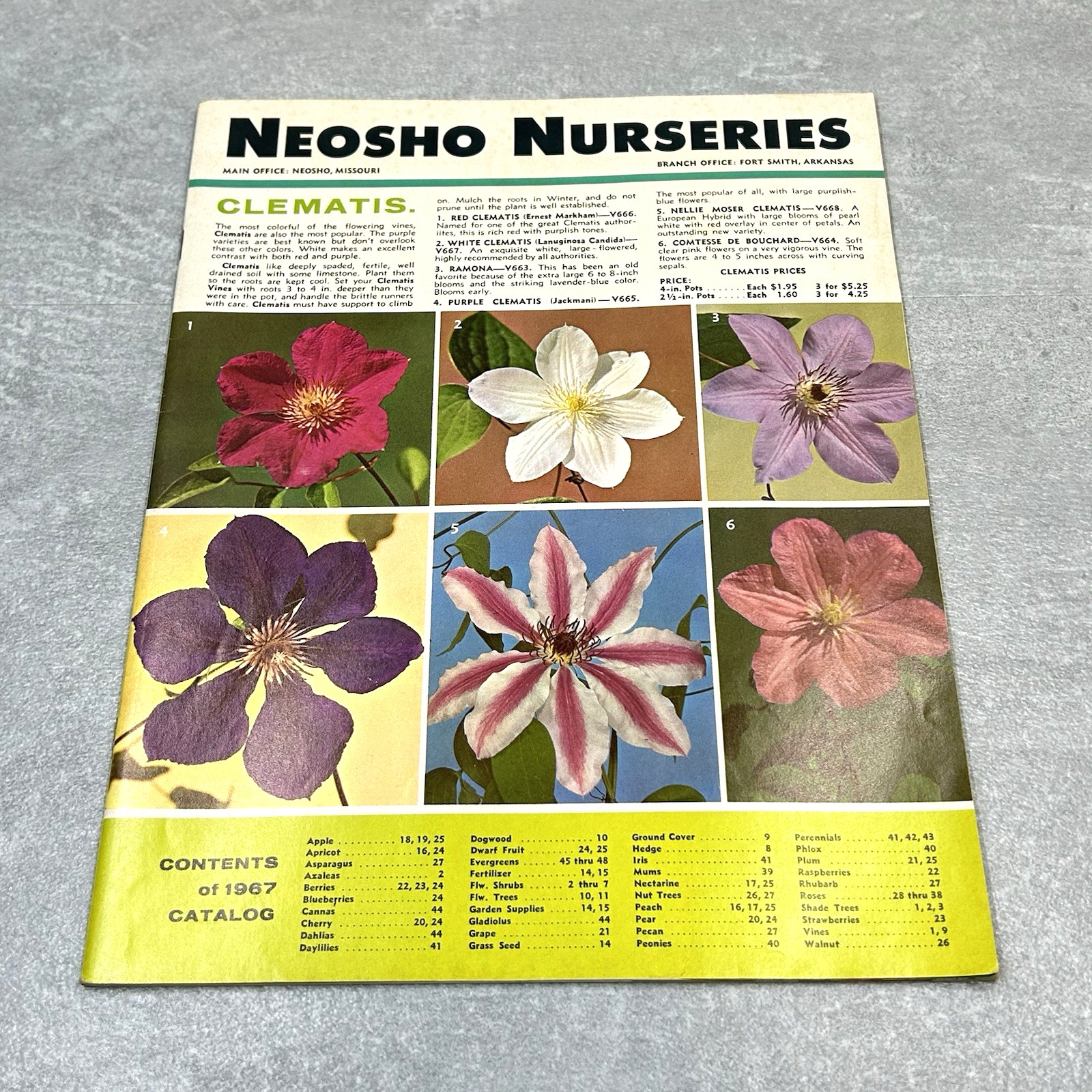 Vintage 1967 Neosho Nurseries Catalog Flowers Plants Fruit Tress Missouri