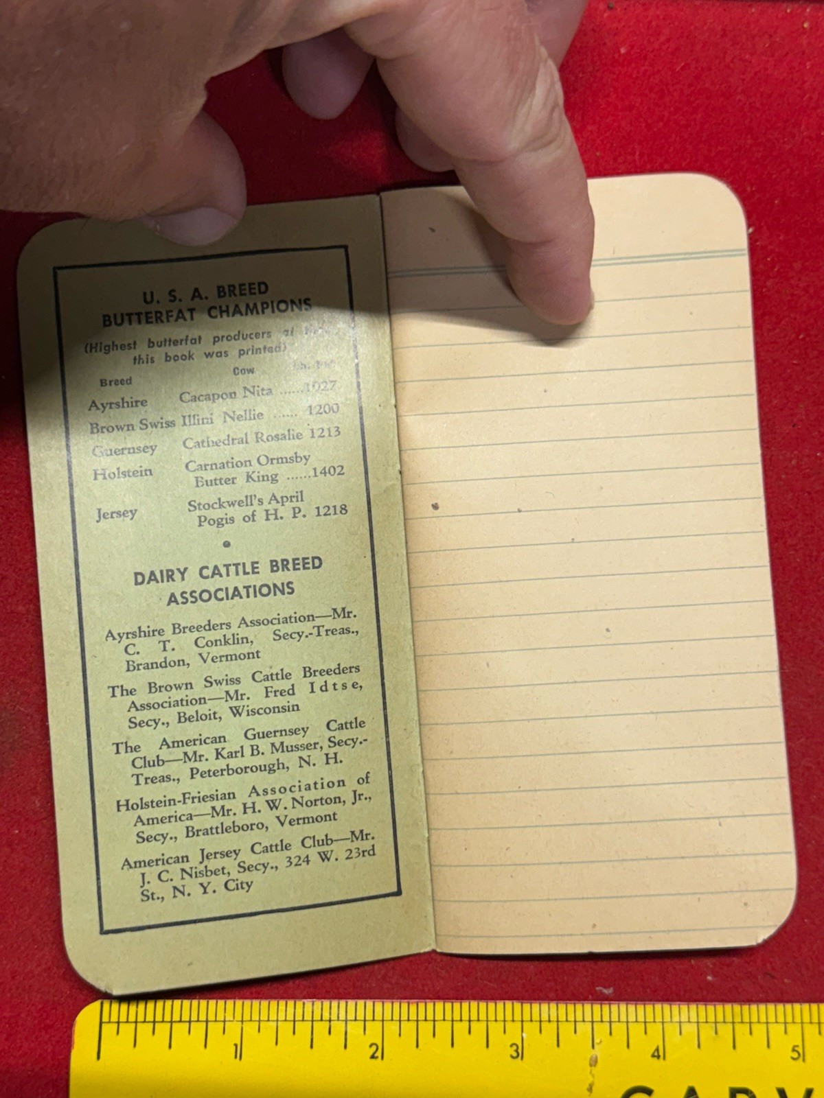 Vintage Hoards Dairyman Magazine Memo Book Fort Atkinson Wisconsin Cattle Cows