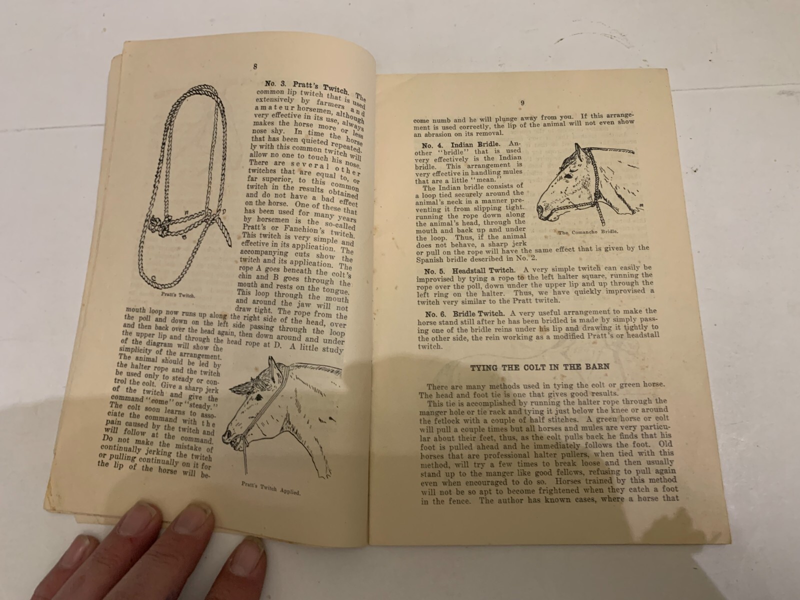 1936 Horse Breeding Harry D. Linn Booklet Iowa Horse & Mule Breeders Association