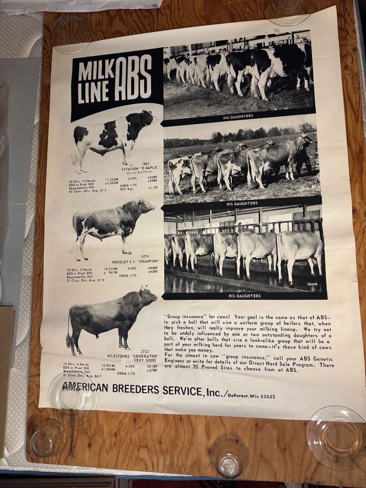 1970 Milk Line Bull Cow Dairy ABS American Breeders Service Advertising Poster
