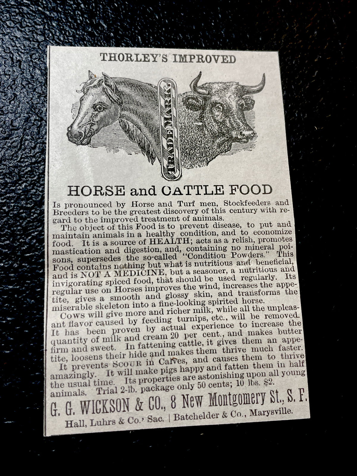 ORIGINAL 1883 Horse & Cattle Farm Advertising – San Francisco – California
