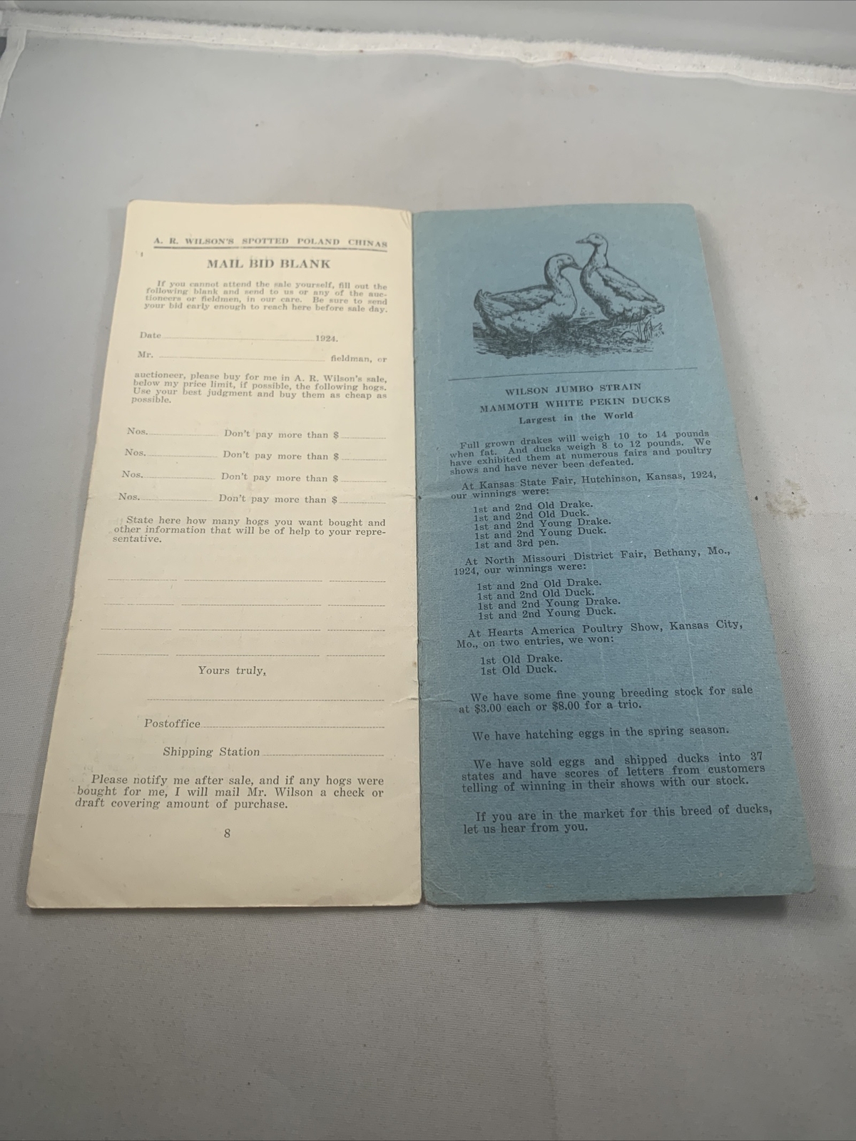 1924 Hog Sale Brochure Wilson’s Prolific Poland China Pig Farm Darlington MO