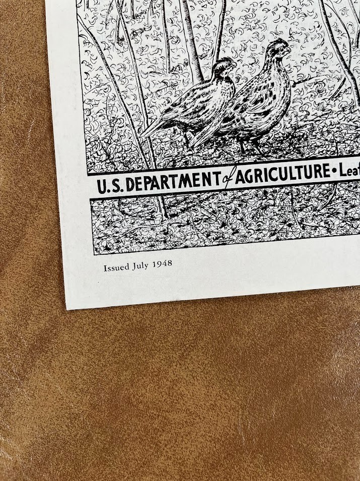 1948 US DEPARTMENT OF AGRICULTURE Bicolor Lespedeza QUAIL MANAGEMENT HUNTING