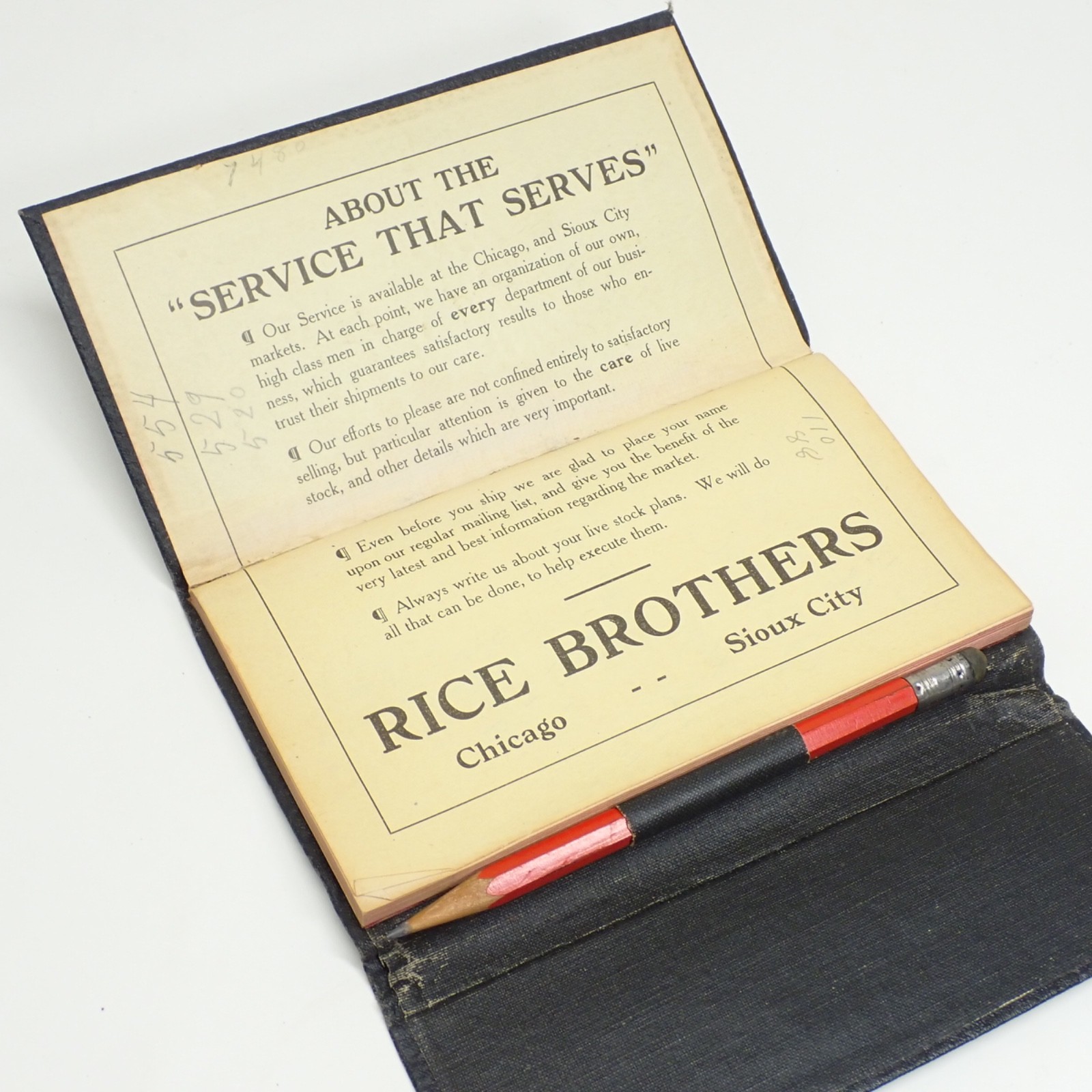 1917-18 Livestock Auction Ledger Rice Brothers Sioux City Chicago Leather K39