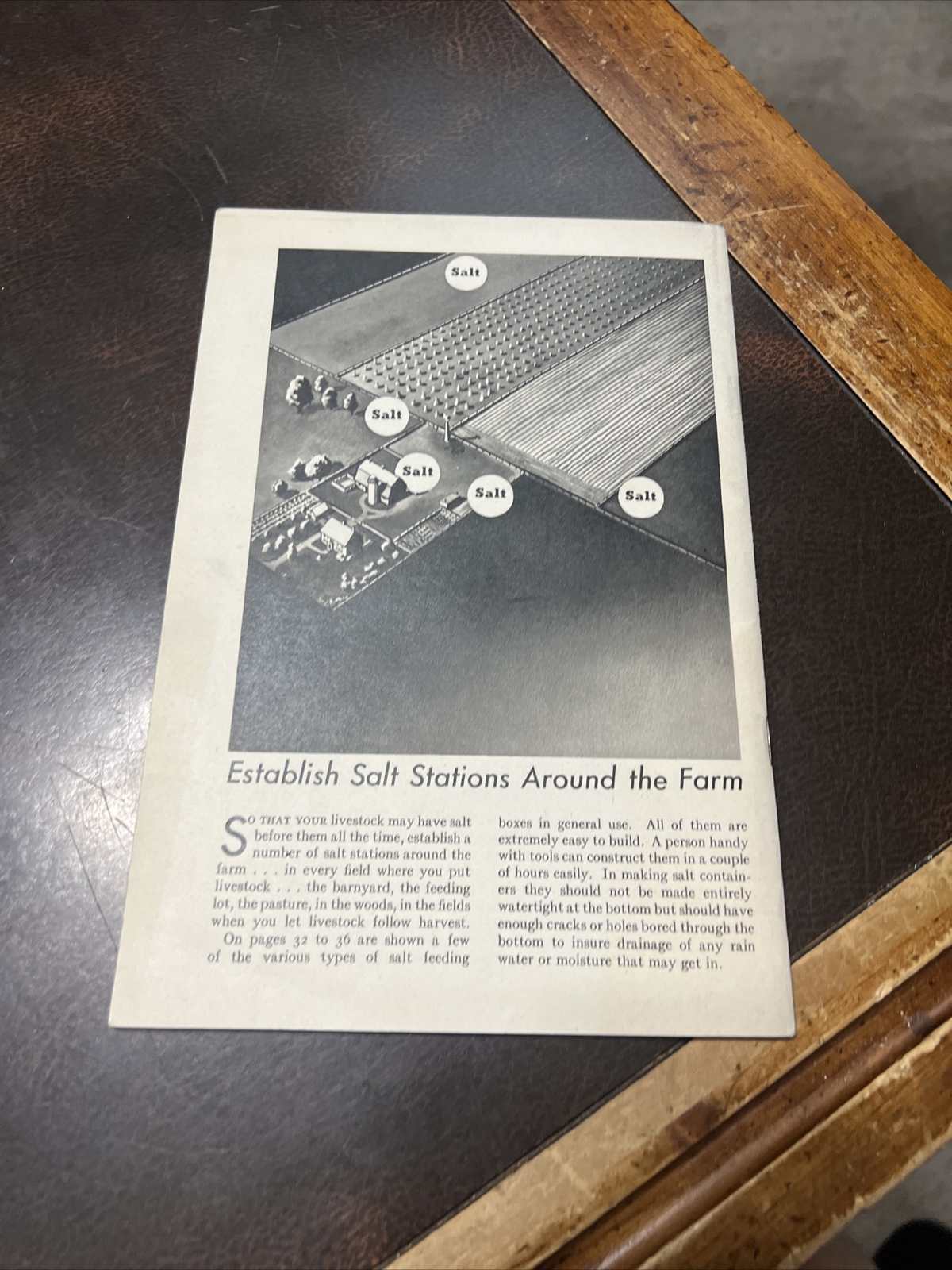 Vintage Morton Salt Co Brochure “Profitable Livestock Feeding”