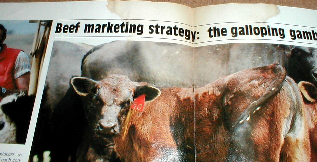 Sperry New Holland News Full Color 1981 Magazine Vol 28 No 5