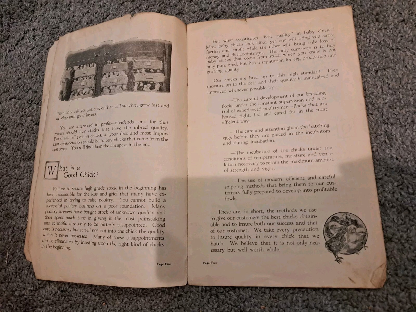 The Profit Maker Vintage 1923 Canadian Chick Hatchery Booklet Poultry