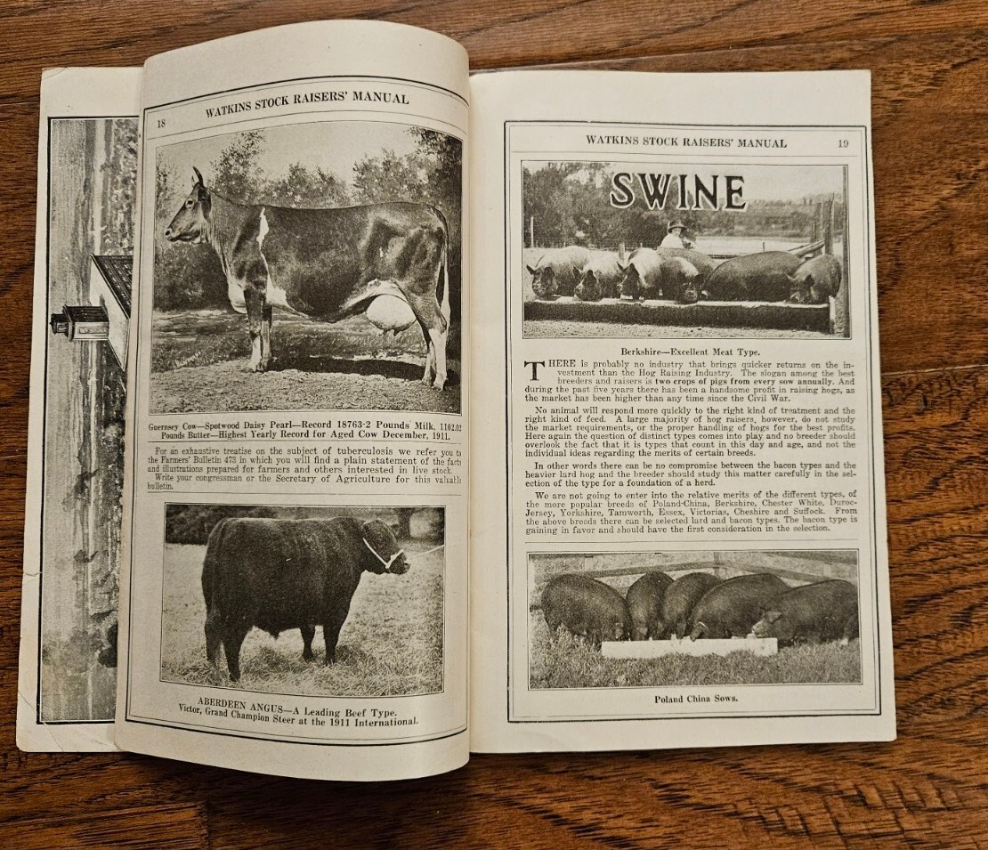 Original 1914 Watkins Stock Raisers Manual Cattle, Mules etc