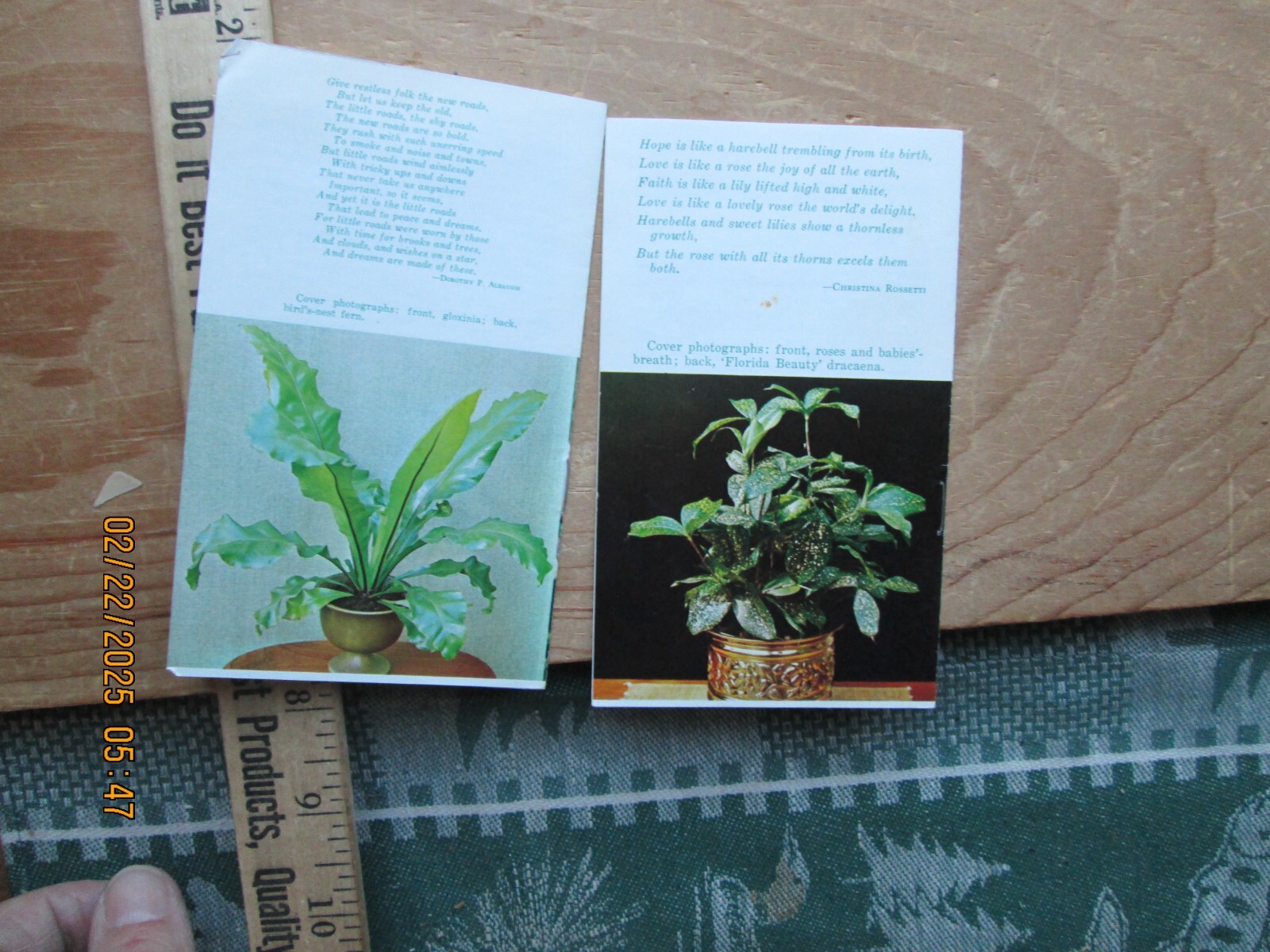 boyntons greenhouses skowhegan maine 2 Flower talks 1975 brochure