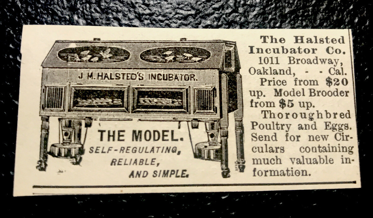 1886 Halsted Incubator Co. – Chicken Farm Advertising – Oakland – California