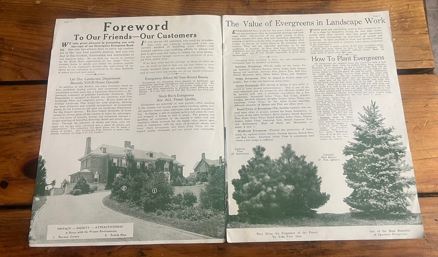 1923 Stark Brothers Advertising Nurseries Catalog Horticulture Since 1816 Rare
