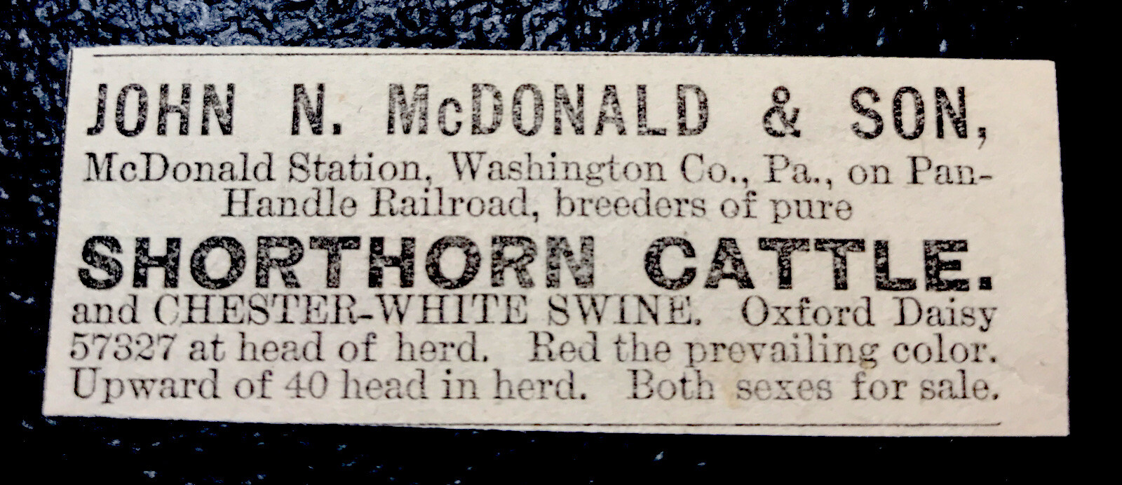 1886 Cattle Cow Farm Advertising – Washington Co. – Pennsylvania