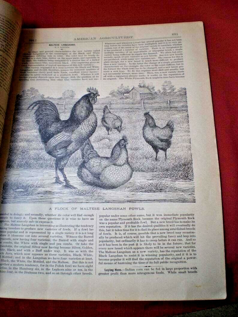Antique American Agriculturist License Plate and Rare Magazine-1800&rsquo;s