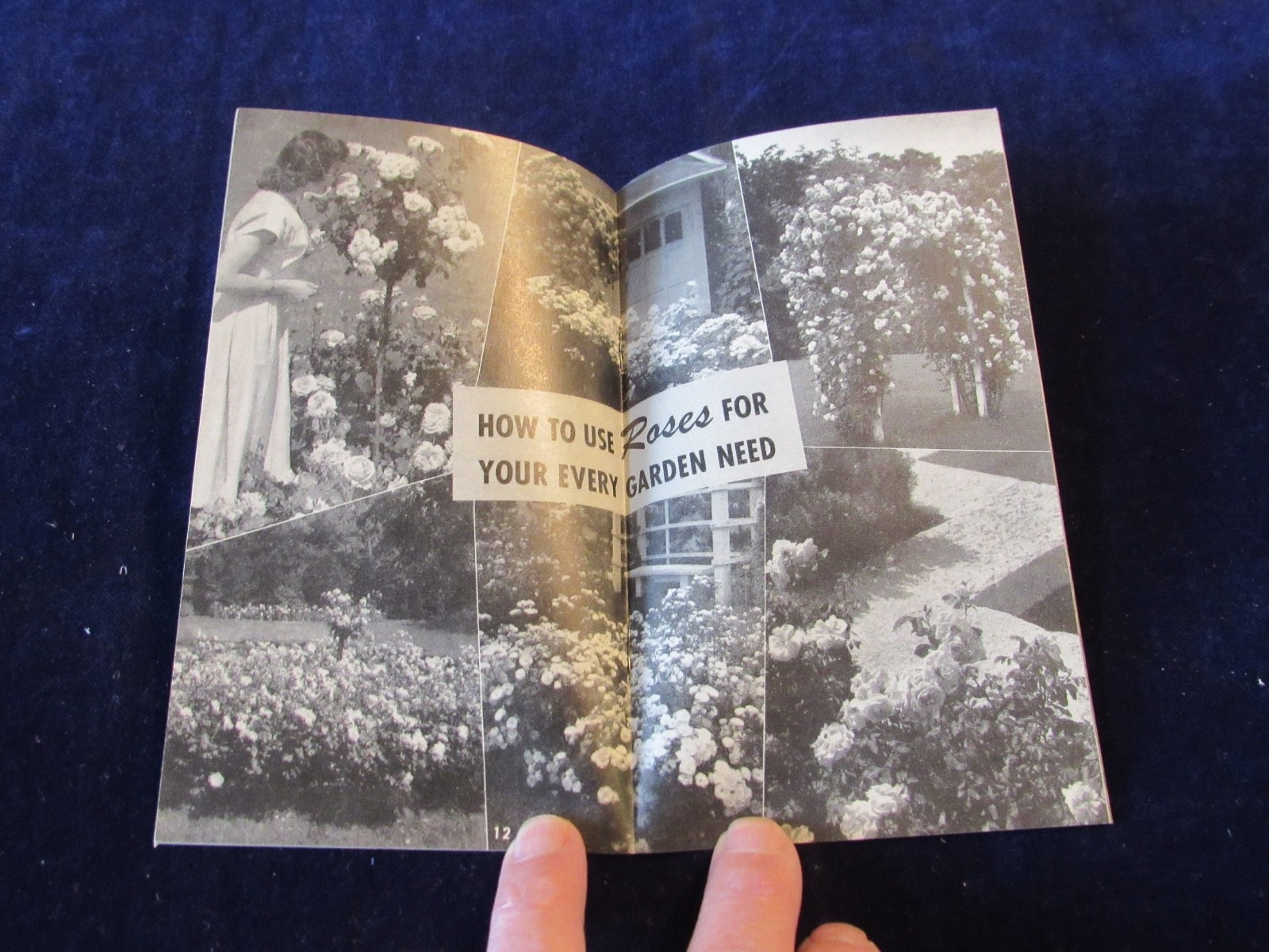 Vintage 1940-1950&rsquo;s Jackson & Perkins Rose Gardening Brochure B439