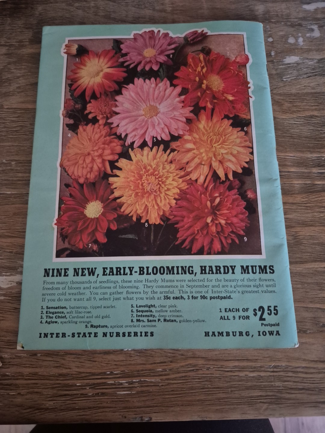 1940 Spring Garden Catalog Inter-State Nurseries Hamburg Iowa Roses Fruit Flower
