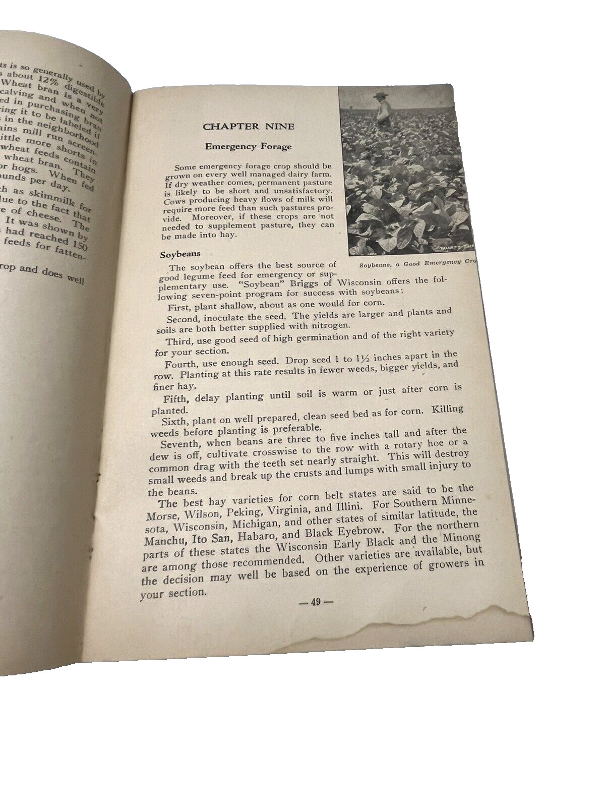 Hoards Booklet LOT Common Ailments Dairyman Feed Guide Farm Animals Cow Pig VTG