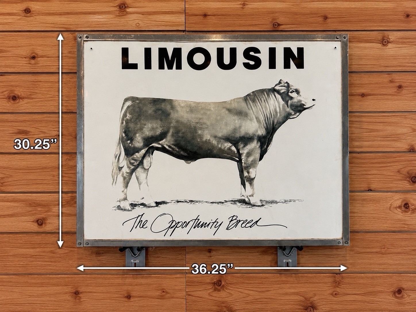 Vintage Limousin Cattle “The Opportunity Breed” Advertising Sign
