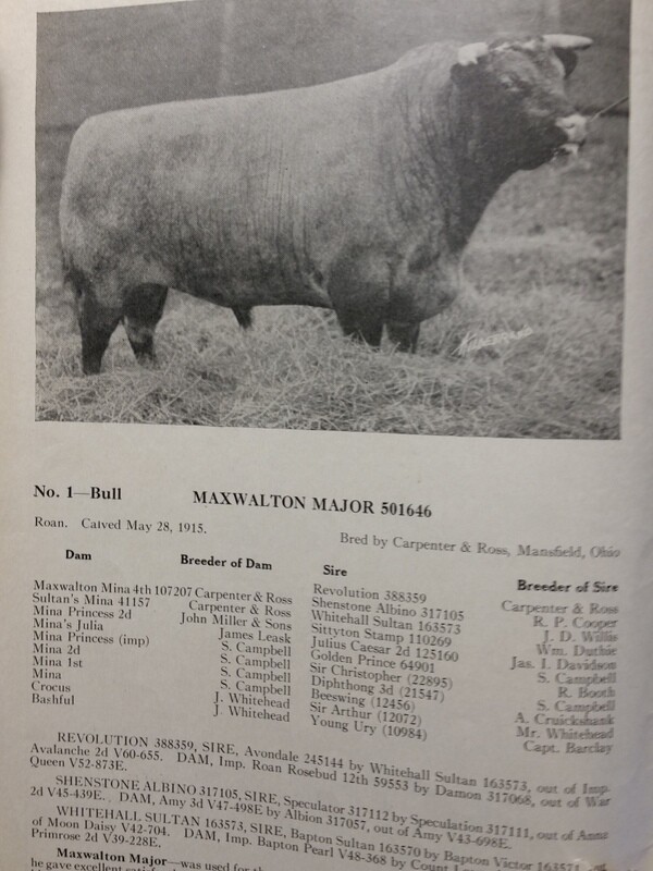 1921 Shorthorn Cattle Auction Catalog Stock Yards Chicago Carpenter & Ross OH
