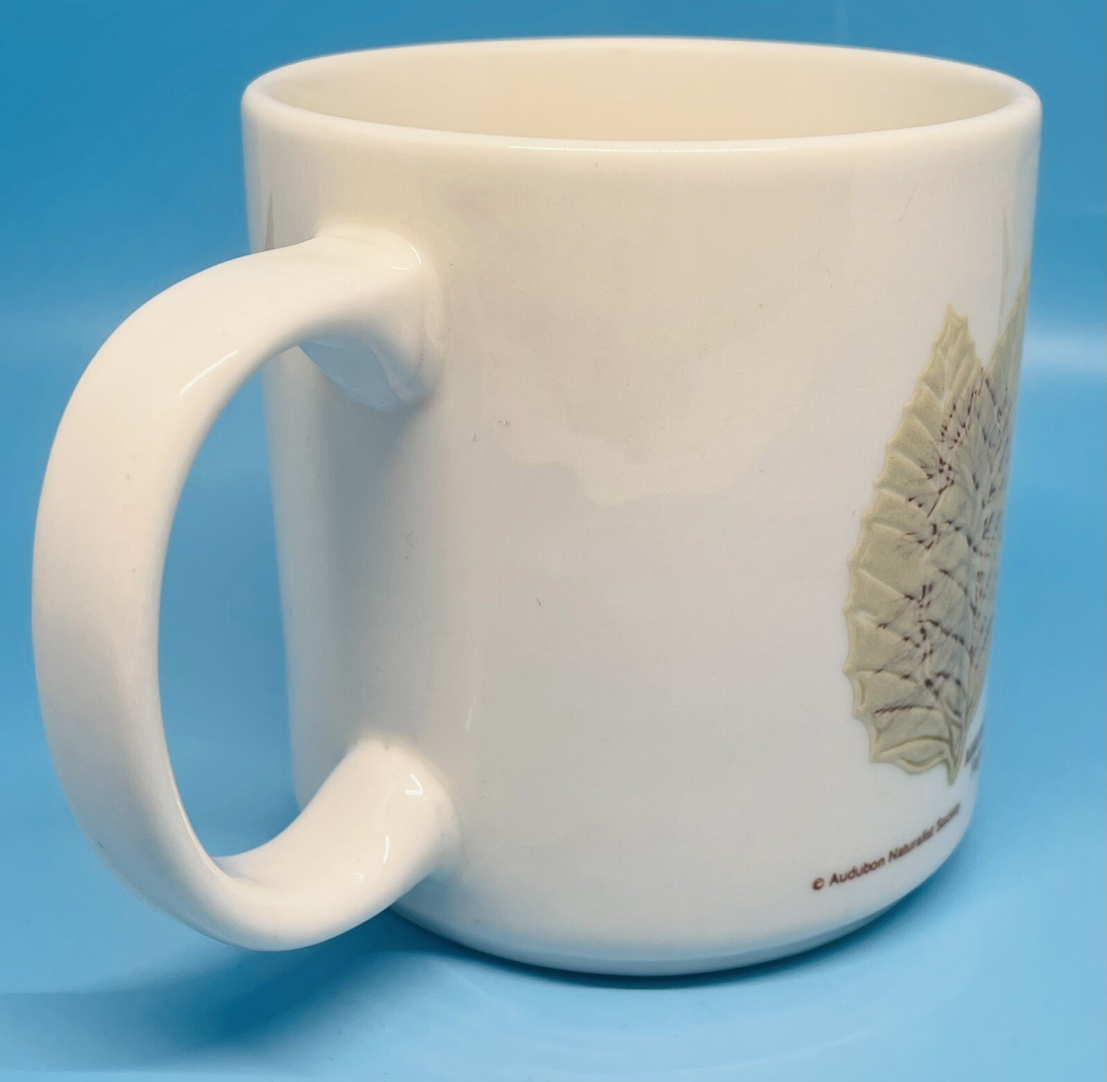 Audubon Naturalist Society Mug Raised Leaves Leaf Identification